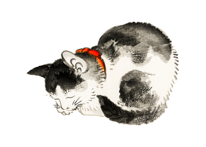 Sleeping Cat T-Shirt