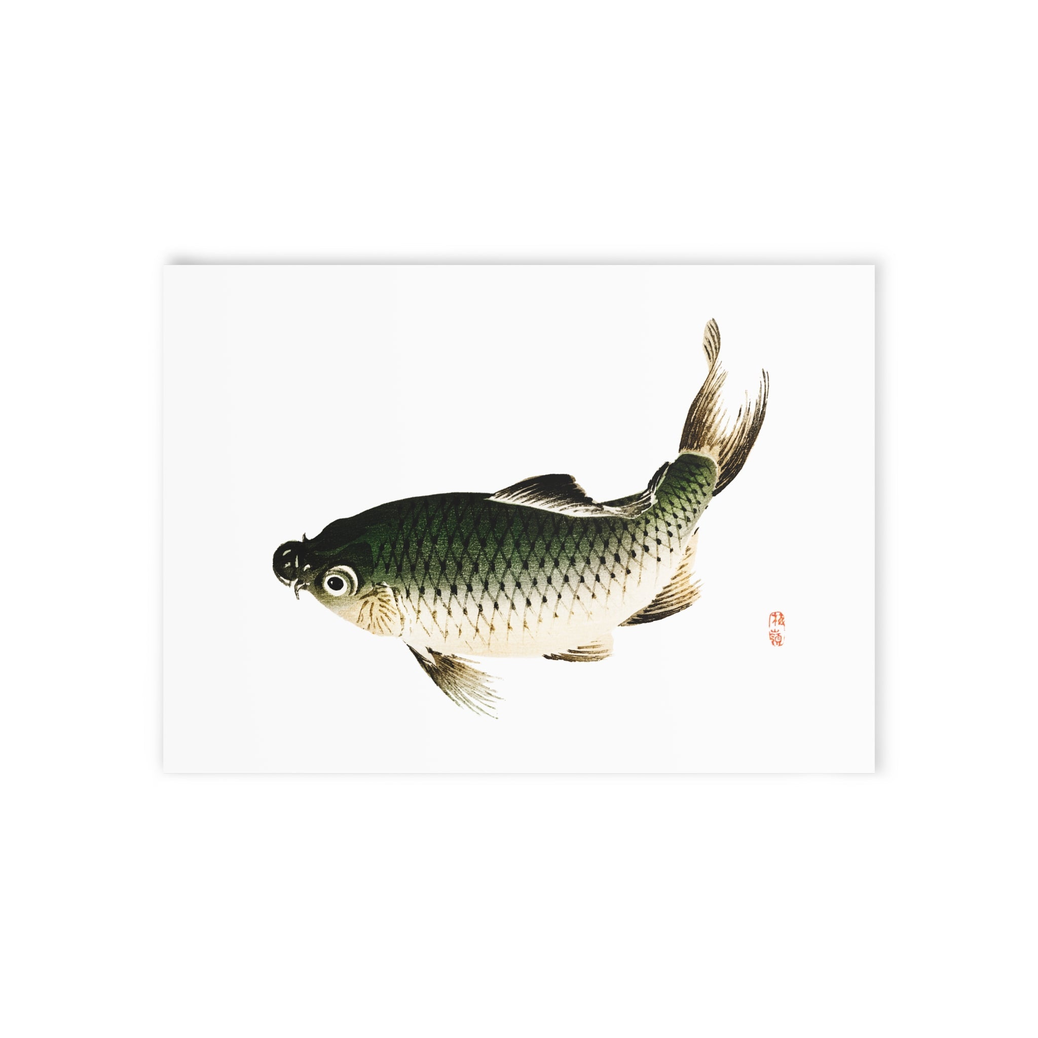 Carp Fish Postcard - Manga Hanga - 73760816471658914110