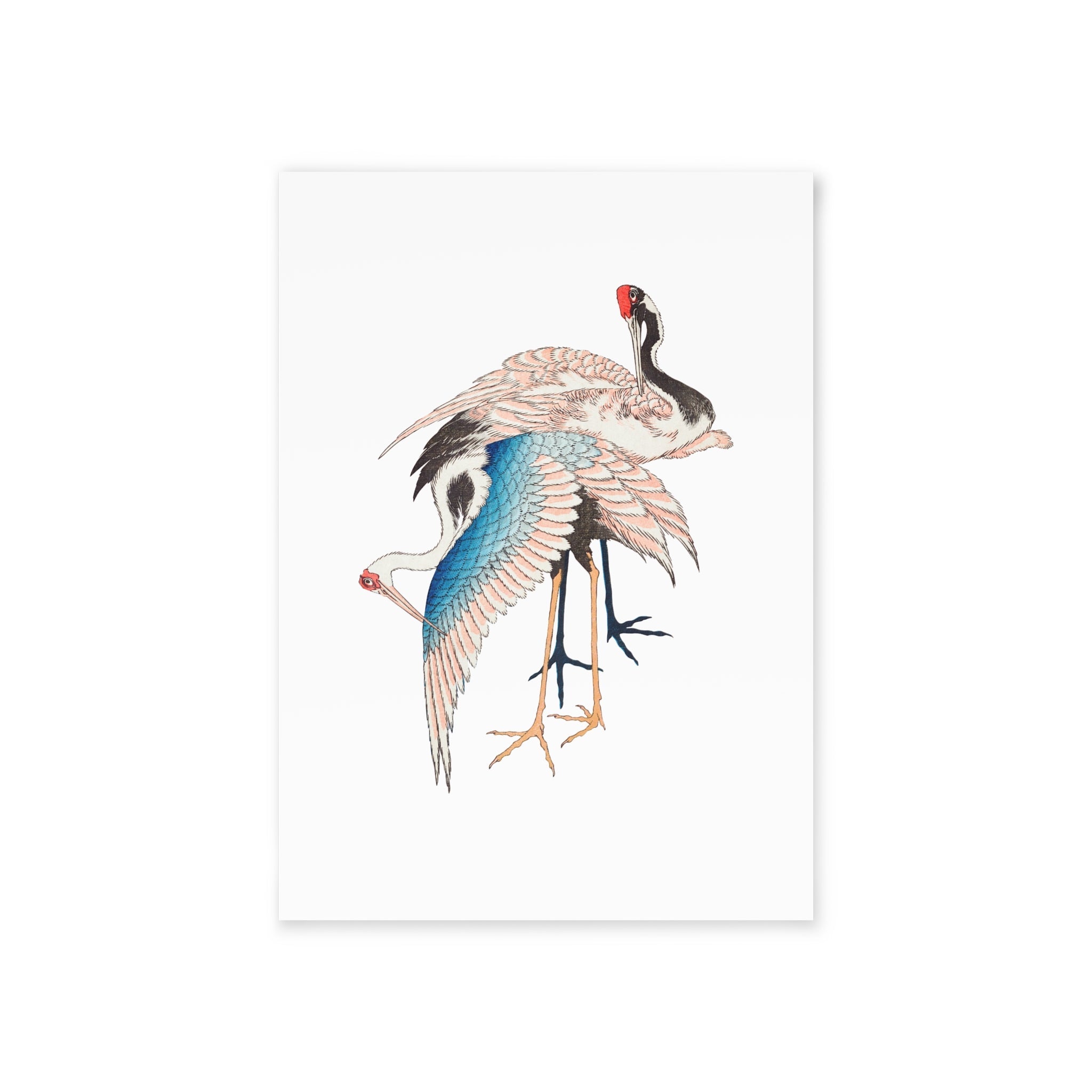 Cranes Postcard - Manga Hanga - 26792294906437613335