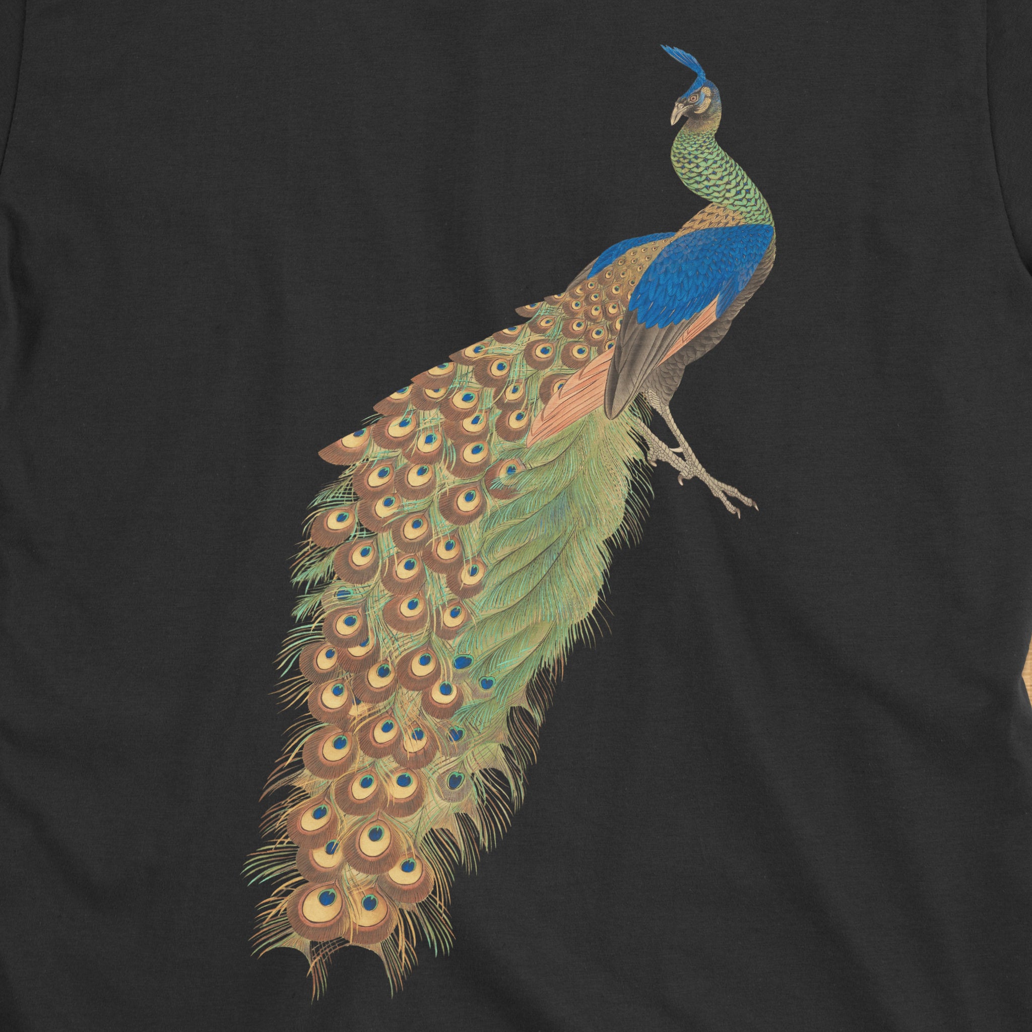Peacock Oversized T-Shirt