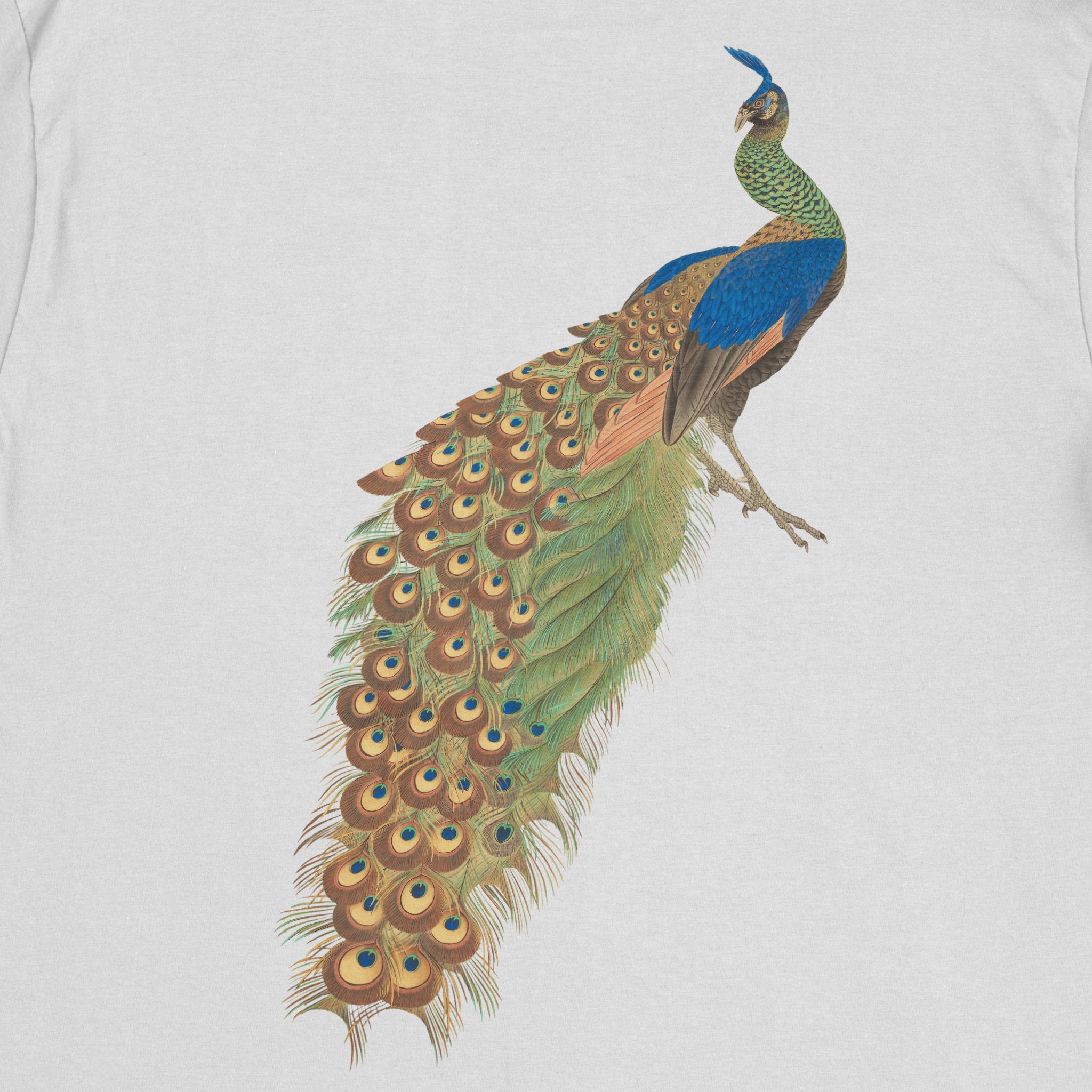 Peacock T-Shirt