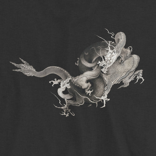 Two Dragons print detail closeup — oversized tee | Manga Hanga