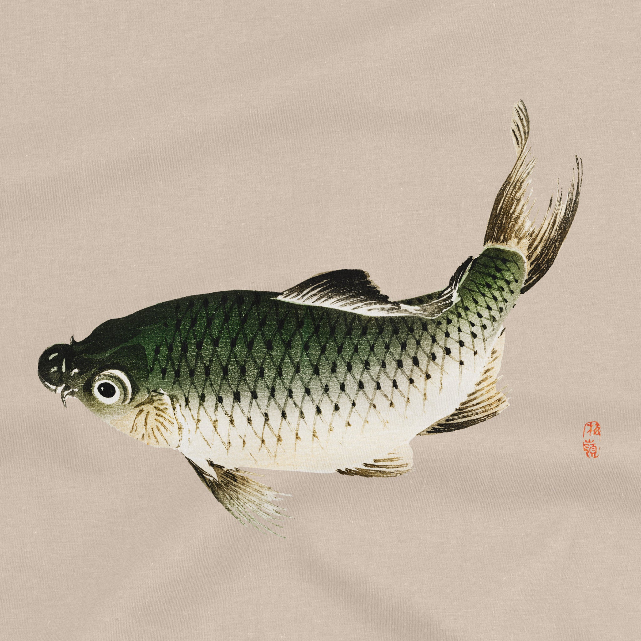 Carp Fish T-Shirt