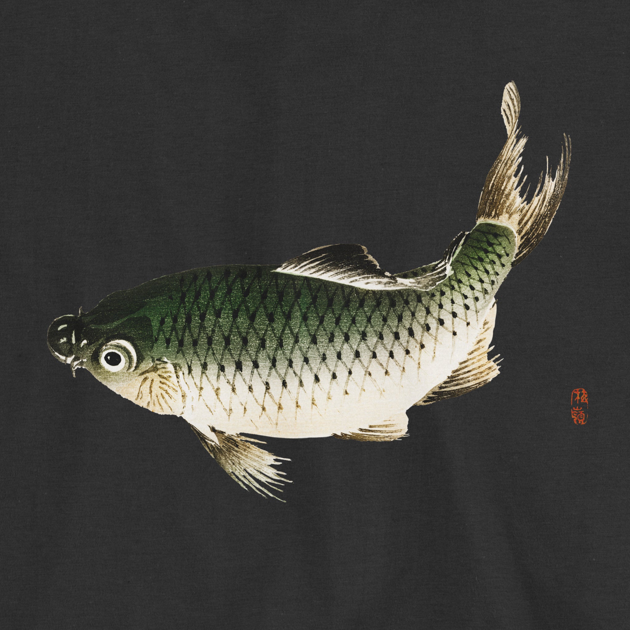 Carp Fish T-Shirt
