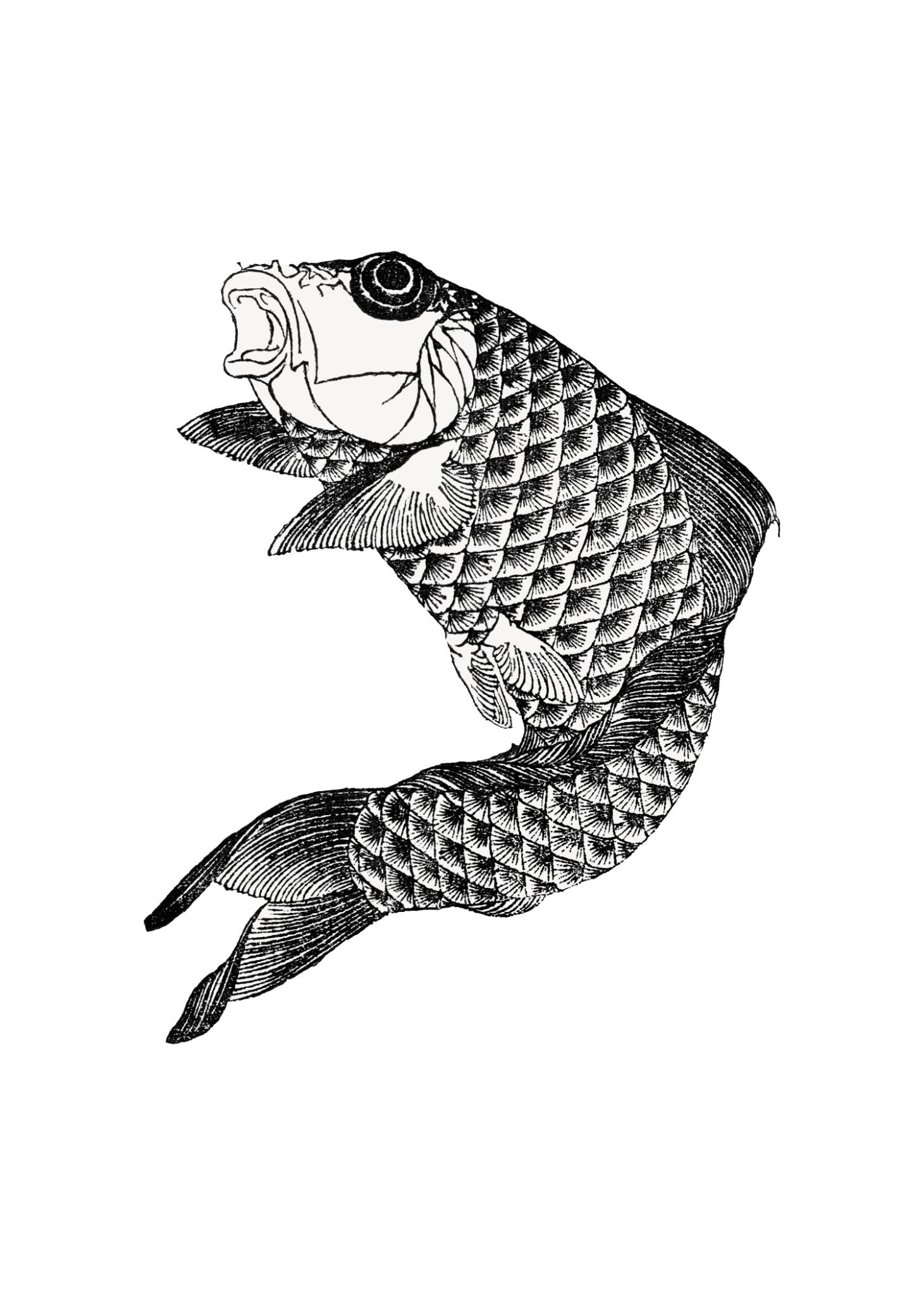 Koi Tote - Manga Hanga - 