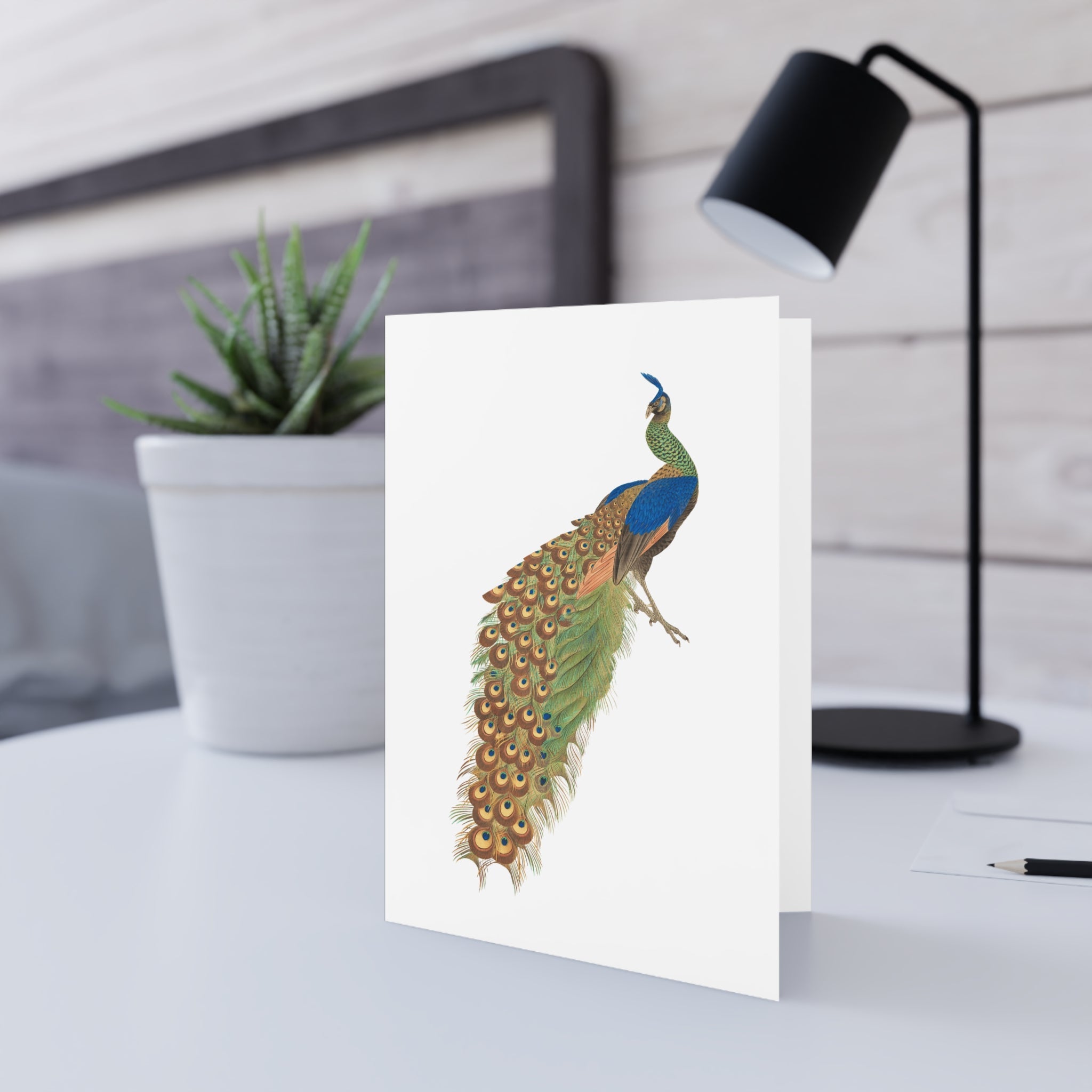 Peacock Greeting Card - Manga Hanga - 