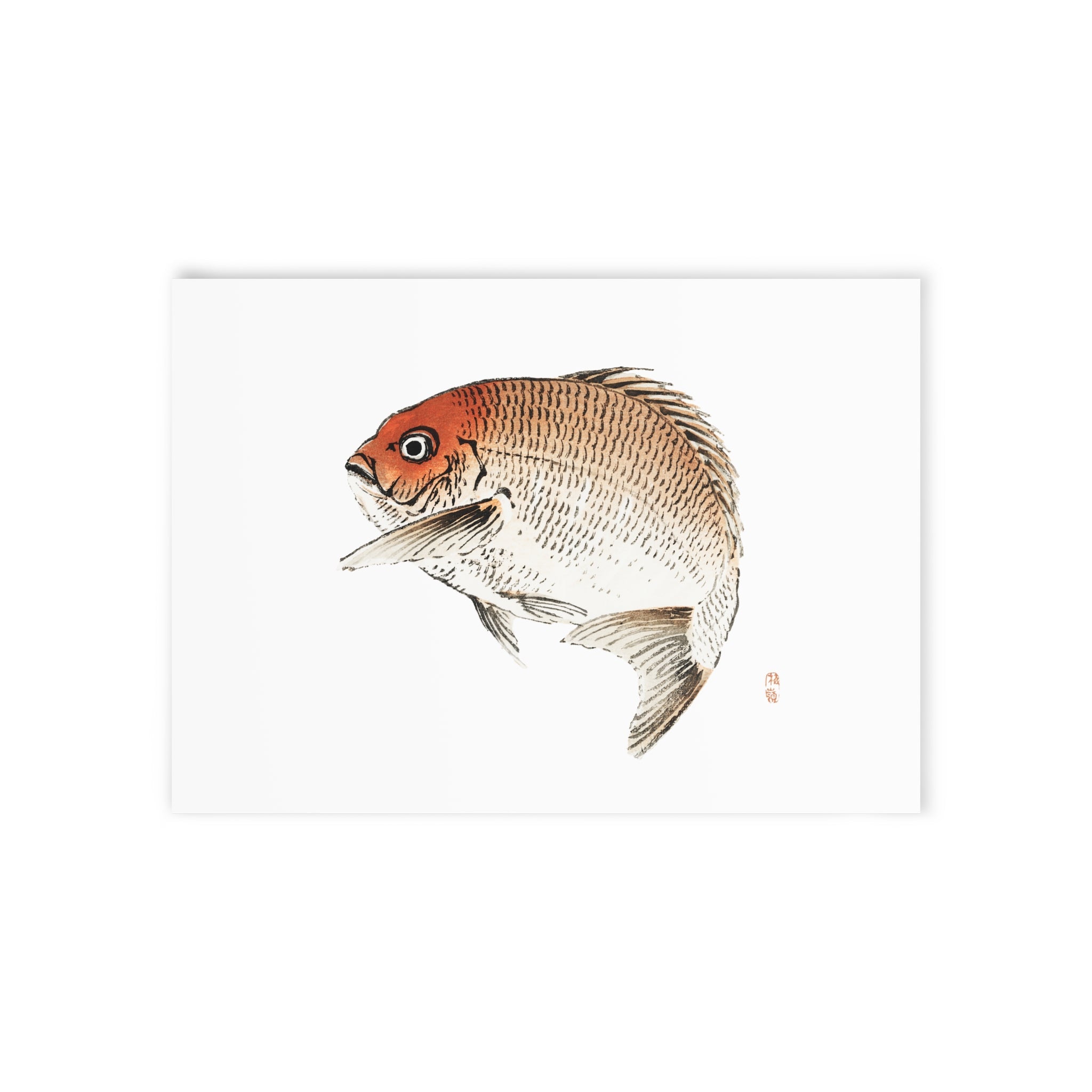 Sea Bream Postcard - Manga Hanga - 16312436933610816216