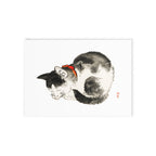 Sleeping Cat Postcard - Manga Hanga - 33888081651059758016