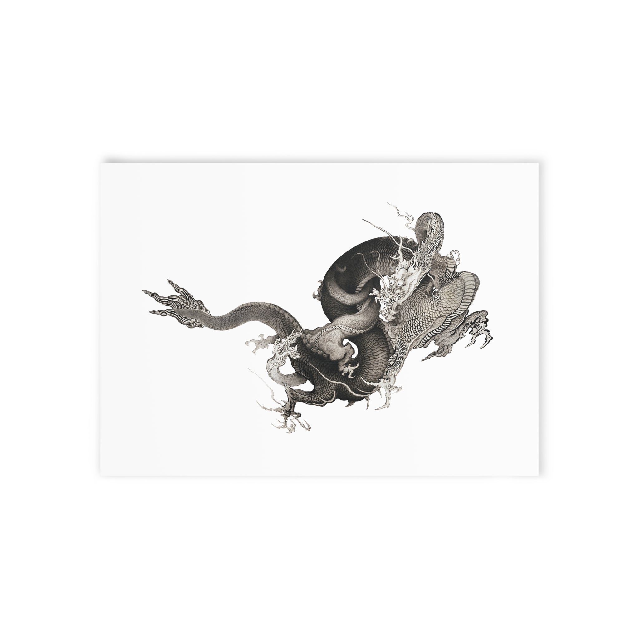 Two Dragons Postcard - Manga Hanga - 15247807909666977245