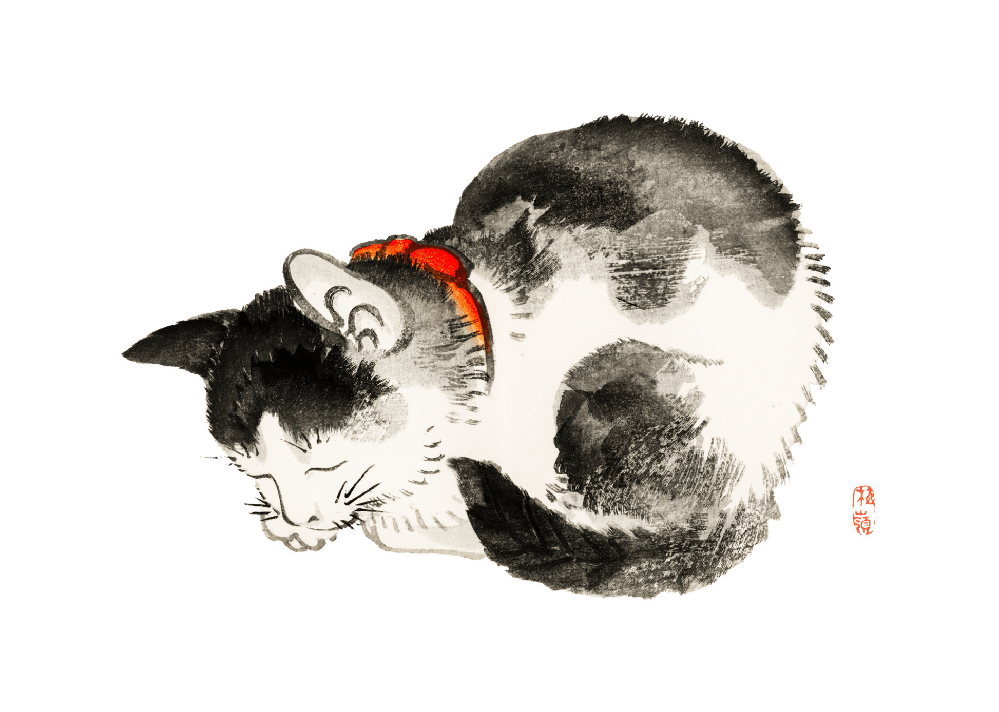Manga Hanga - Kids clothes - Sleeping Cat Kids T-Shirt - 18320079118086385001