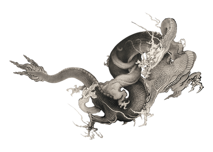 Manga Hanga - T-Shirt - Dragon - 10789481042836203547