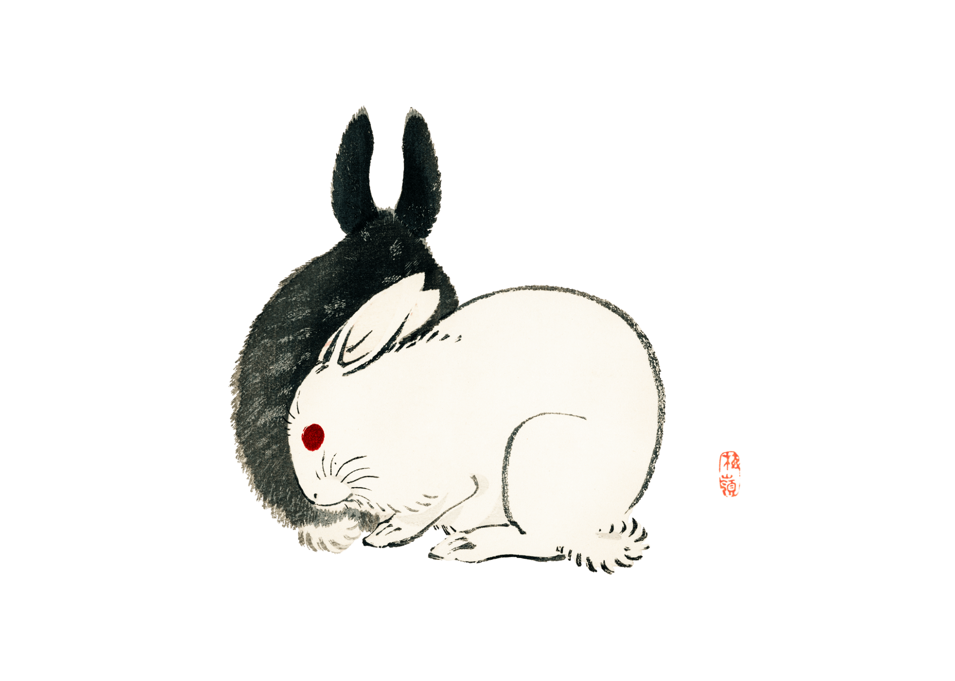 Manga Hanga - T-Shirt - Rabbit T-Shirt - 14079440757305985069